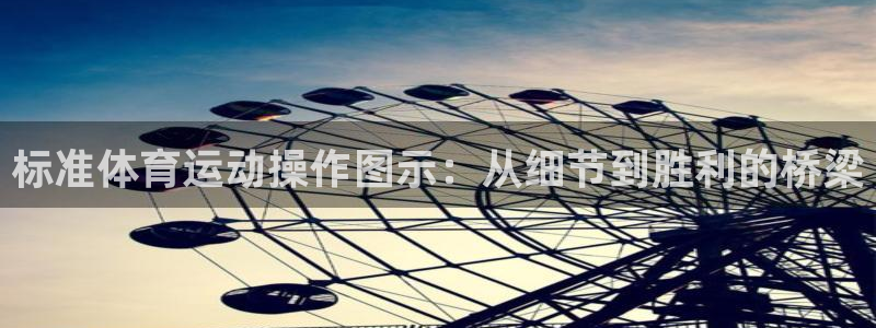 即嗨体育app官网：标准体育运动操作图示：从细节到胜利的桥梁