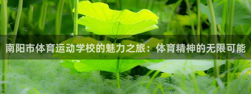 即嗨体育app下载官网：南阳市体育运动学校的魅力之旅：体育精神的无限可能