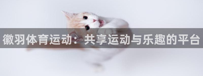 即嗨体育官网：徽羽体育运动：共享运动与乐趣的平台
