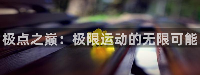 关键词：极点之巅：极限运动的无限可能