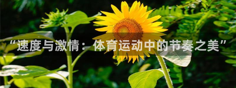 即嗨体育：“速度与激情：体育运动中的节奏之美”