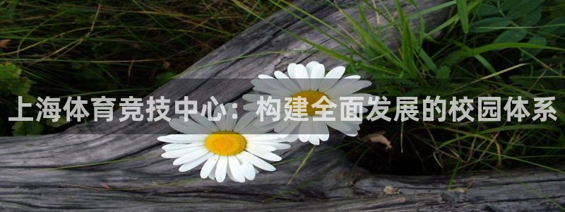 即嗨体育：上海体育竞技中心：构建全面发展的校园体系