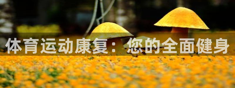 关键词：体育运动康复：您的全面健身