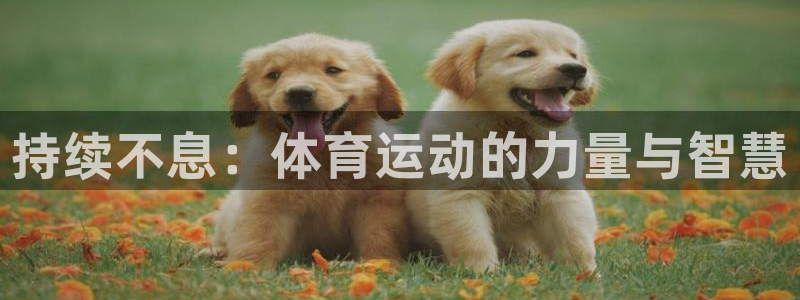 即嗨体育网页版：持续不息：体育运动的力量与智慧